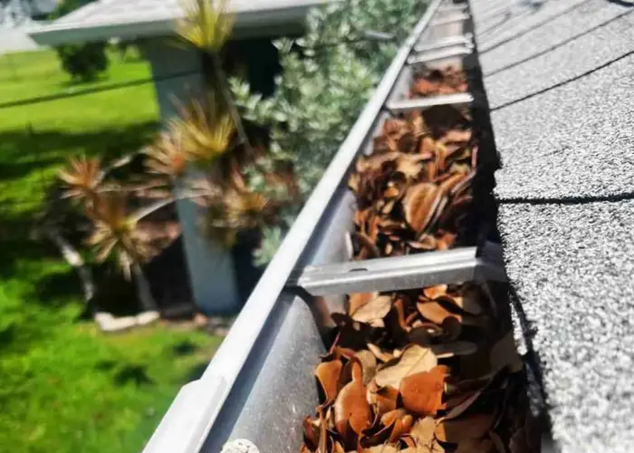 Littleton gutter cleaning home page